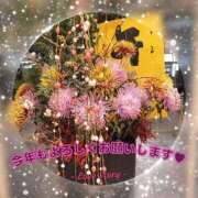 ヒメ日記 2026/01/04 02:14 投稿 鍛冶谷　えるぼ エテルナ京都