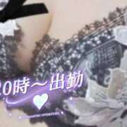 ヒメ日記 2026/02/11 20:03 投稿 鍛冶谷　えるぼ エテルナ京都