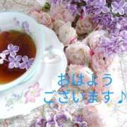 ヒメ日記 2026/02/12 05:39 投稿 鍛冶谷　えるぼ エテルナ京都