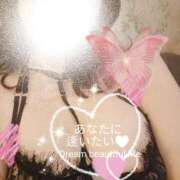 ヒメ日記 2026/03/08 18:23 投稿 鍛冶谷　えるぼ エテルナ京都