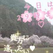 ヒメ日記 2026/03/31 21:06 投稿 鍛冶谷　えるぼ エテルナ京都