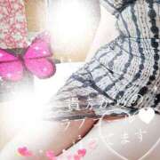 ヒメ日記 2026/04/01 02:09 投稿 鍛冶谷　えるぼ エテルナ京都