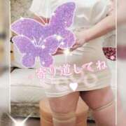 ヒメ日記 2026/04/03 20:29 投稿 鍛冶谷　えるぼ エテルナ京都