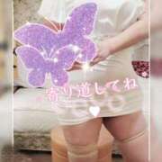 ヒメ日記 2026/04/07 19:29 投稿 鍛冶谷　えるぼ エテルナ京都