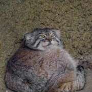 ヒメ日記 2026/01/17 16:33 投稿 こころ 舐めフェチの会