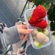 ヒメ日記 2026/03/02 10:36 投稿 こころ 舐めフェチの会