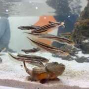 ヒメ日記 2026/04/06 21:59 投稿 こころ 舐めフェチの会