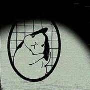 ヒメ日記 2026/06/18 20:38 投稿 こころ 舐めフェチの会