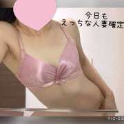 ヒメ日記 2025/01/20 07:04 投稿 かいり 大阪人妻援護会