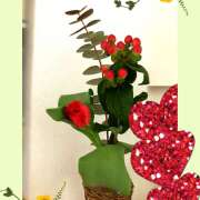 ヒメ日記 2025/03/04 13:37 投稿 かいり 大阪人妻援護会