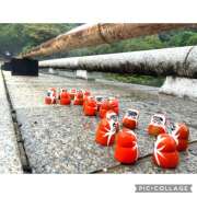 ヒメ日記 2025/04/01 17:06 投稿 かいり 大阪人妻援護会