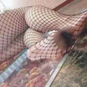 ヒメ日記 2024/12/19 08:16 投稿 すずか 即トク奥さん