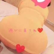 ヒメ日記 2025/01/16 09:58 投稿 すずか 即トク奥さん