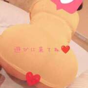 ヒメ日記 2026/05/28 08:31 投稿 すずか 即トク奥さん