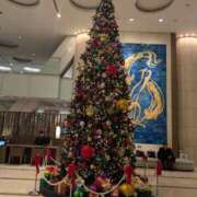 ヒメ日記 2025/11/15 20:13 投稿 こみち 東京人妻セレブリティ（ユメオト）