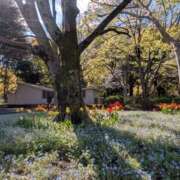 ヒメ日記 2026/04/05 18:01 投稿 こみち 東京人妻セレブリティ（ユメオト）