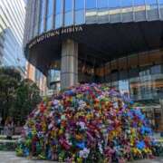 ヒメ日記 2026/04/08 18:01 投稿 こみち 東京人妻セレブリティ（ユメオト）