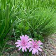 ヒメ日記 2025/11/09 23:45 投稿 中尾 熟女の部屋