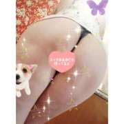 ヒメ日記 2025/11/23 23:12 投稿 中尾 熟女の部屋