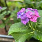 ヒメ日記 2025/11/26 23:56 投稿 中尾 熟女の部屋