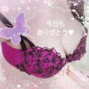 ヒメ日記 2025/12/09 05:54 投稿 中尾 熟女の部屋