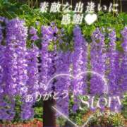 ヒメ日記 2026/04/01 03:27 投稿 中尾 熟女の部屋