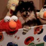 ヒメ日記 2025/04/12 22:23 投稿 ルーナ クラブKG