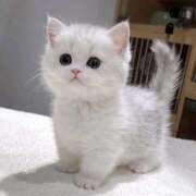 ヒメ日記 2025/09/02 00:13 投稿 ルーナ クラブKG