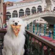 ヒメ日記 2025/09/14 23:13 投稿 ルーナ クラブKG