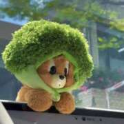 ヒメ日記 2025/11/06 00:23 投稿 ルーナ クラブKG