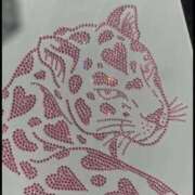 ヒメ日記 2025/11/06 20:53 投稿 ルーナ クラブKG