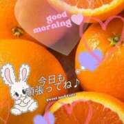 ヒメ日記 2026/02/04 05:52 投稿 さわの 艶熟妻 京都店