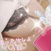 ヒメ日記 2026/04/11 09:18 投稿 さわの 艶熟妻 京都店