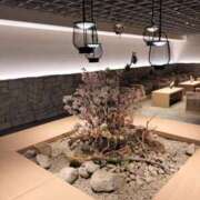 ヒメ日記 2026/04/16 05:11 投稿 さわの 艶熟妻 京都店