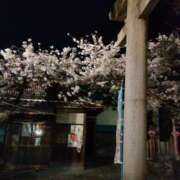 ヒメ日記 2025/04/02 14:02 投稿 とわ 妻天 日本橋店