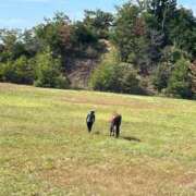 ヒメ日記 2025/04/09 13:08 投稿 とわ 妻天 日本橋店