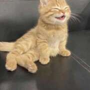 ヒメ日記 2025/12/18 15:16 投稿 とわ 妻天 日本橋店