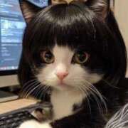 ヒメ日記 2026/03/11 13:08 投稿 とわ 妻天 日本橋店