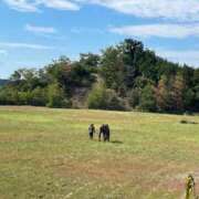 ヒメ日記 2026/03/22 12:12 投稿 とわ 妻天 日本橋店