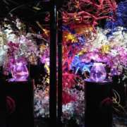 ヒメ日記 2025/03/14 17:30 投稿 くるみ わちゃわちゃ密着リアルフルーちゅ西船橋