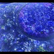 ヒメ日記 2025/03/20 12:10 投稿 くるみ わちゃわちゃ密着リアルフルーちゅ西船橋