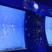 ヒメ日記 2026/02/03 08:08 投稿 くるみ わちゃわちゃ密着リアルフルーちゅ西船橋