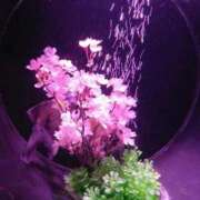 ヒメ日記 2026/03/05 09:18 投稿 くるみ わちゃわちゃ密着リアルフルーちゅ西船橋