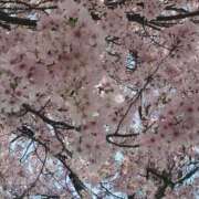 ヒメ日記 2026/04/01 17:28 投稿 くるみ わちゃわちゃ密着リアルフルーちゅ西船橋