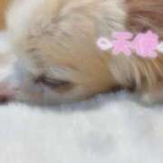 ヒメ日記 2024/12/08 19:38 投稿 みどり 京都回春性感マッサージ倶楽部