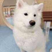 ヒメ日記 2025/02/01 04:18 投稿 みどり 京都回春性感マッサージ倶楽部