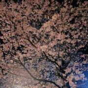 ヒメ日記 2025/04/09 15:58 投稿 みどり 京都回春性感マッサージ倶楽部