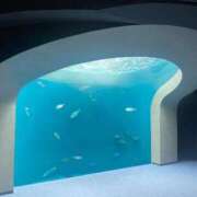 ヒメ日記 2025/07/31 20:29 投稿 みどり 京都回春性感マッサージ倶楽部