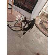 ヒメ日記 2025/10/03 21:18 投稿 みどり 京都回春性感マッサージ倶楽部