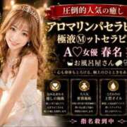 ヒメ日記 2026/08/14 23:31 投稿 春名　葵 スタイリッシュ秘書
